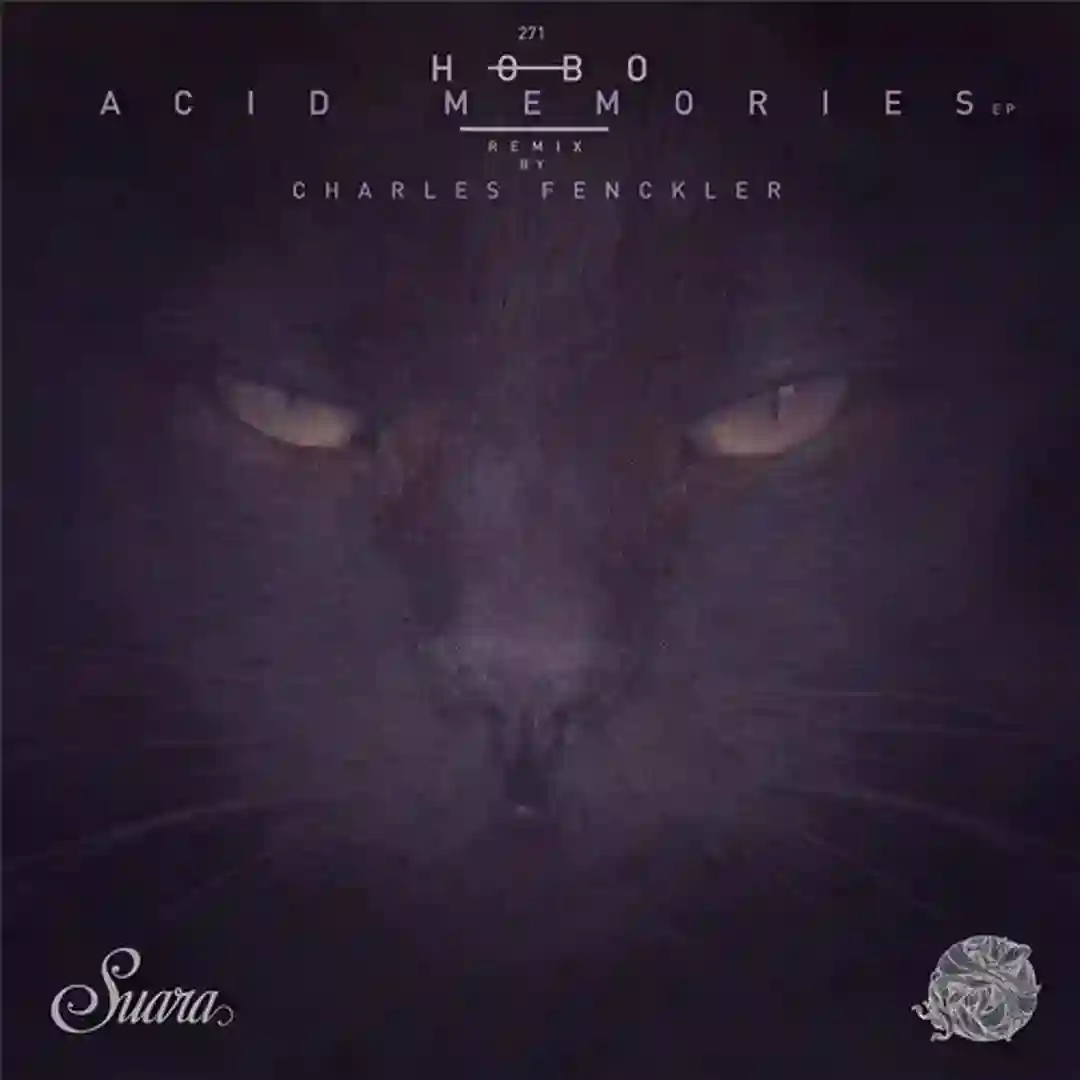 Whiptrack (Original Mix) cover