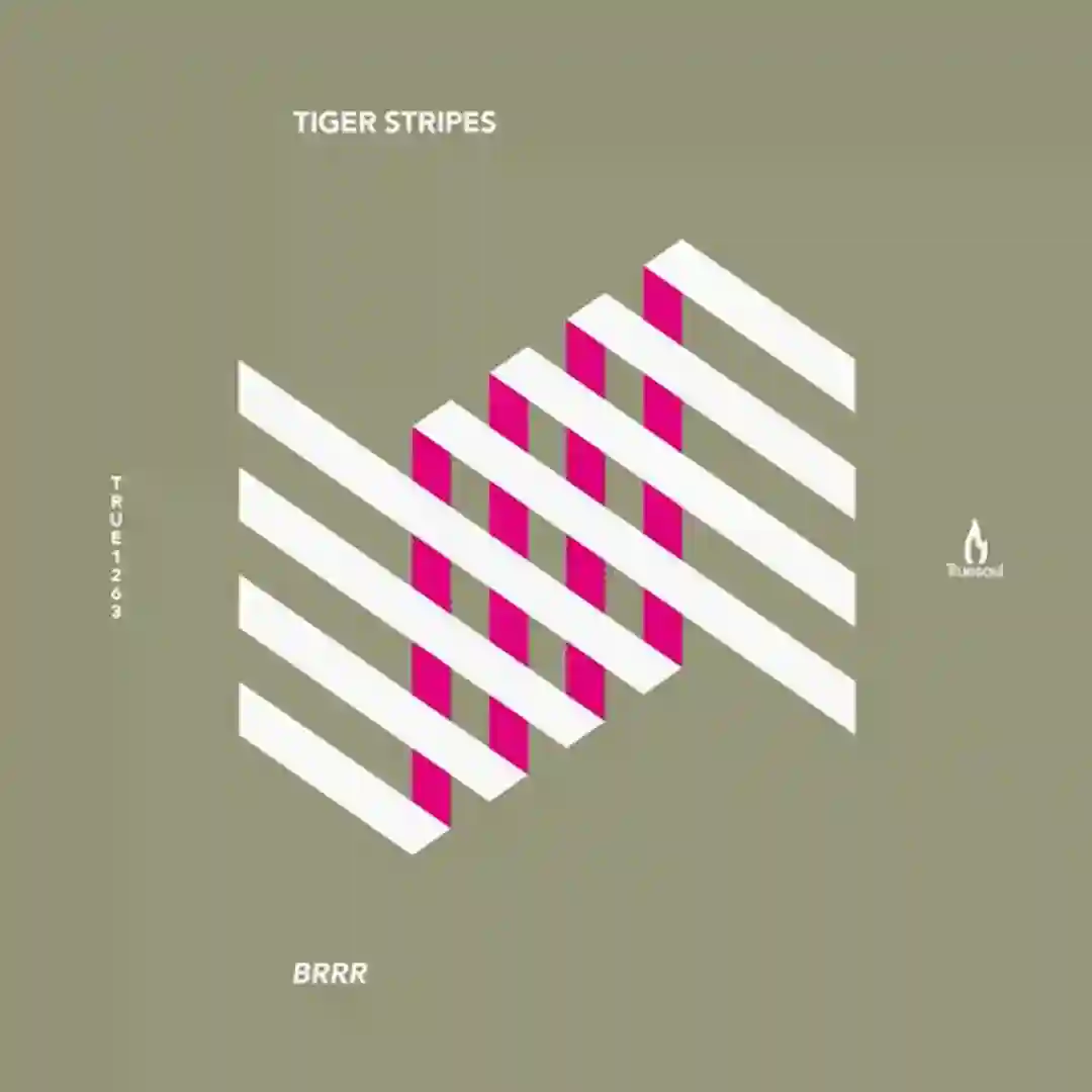 Brrr (Original Mix) cover