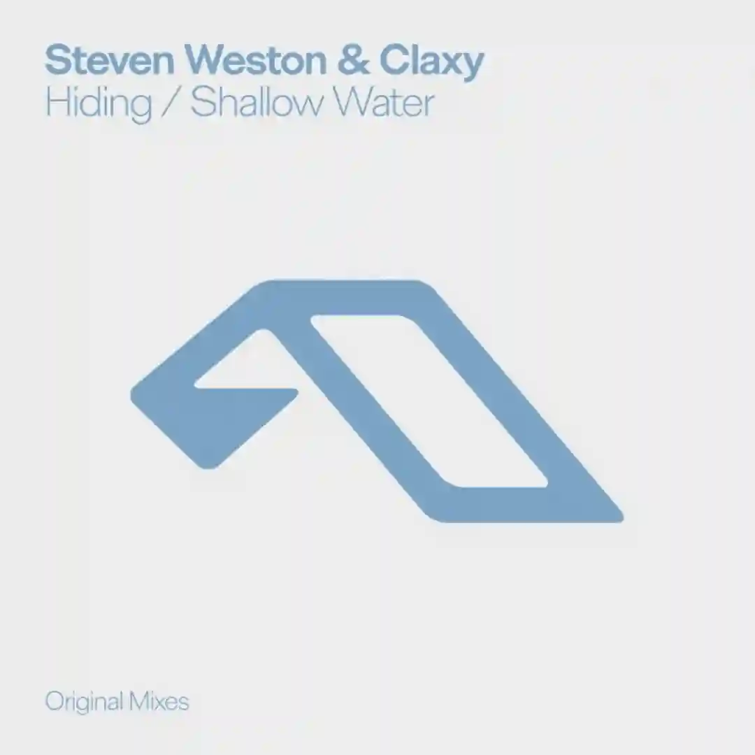 Hiding (Extended Mix) cover