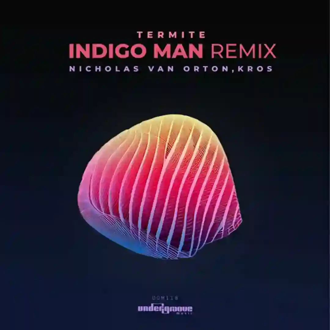 Termite Indigo Man Remix cover