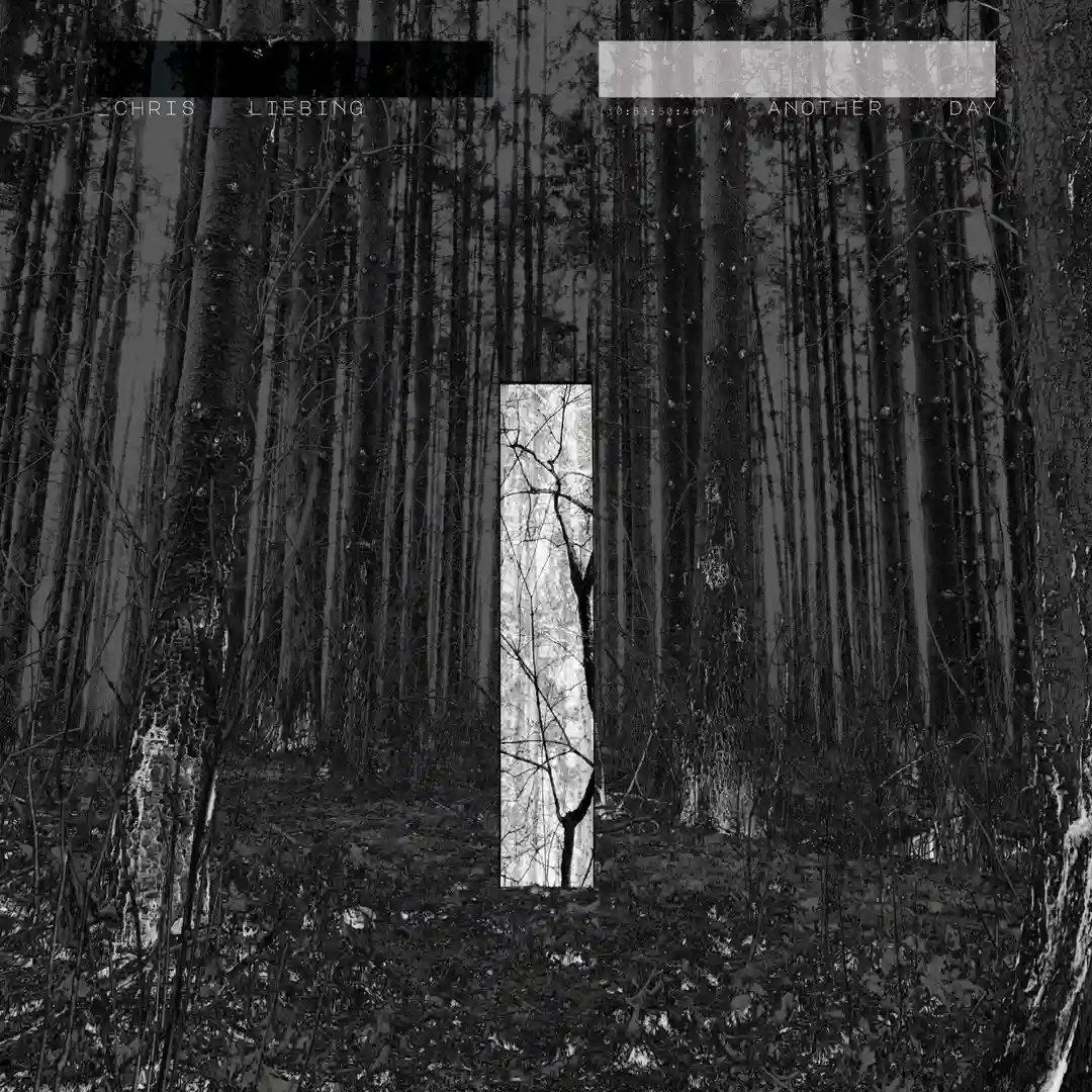Circles feat. Tom Adams (Club Mix) cover