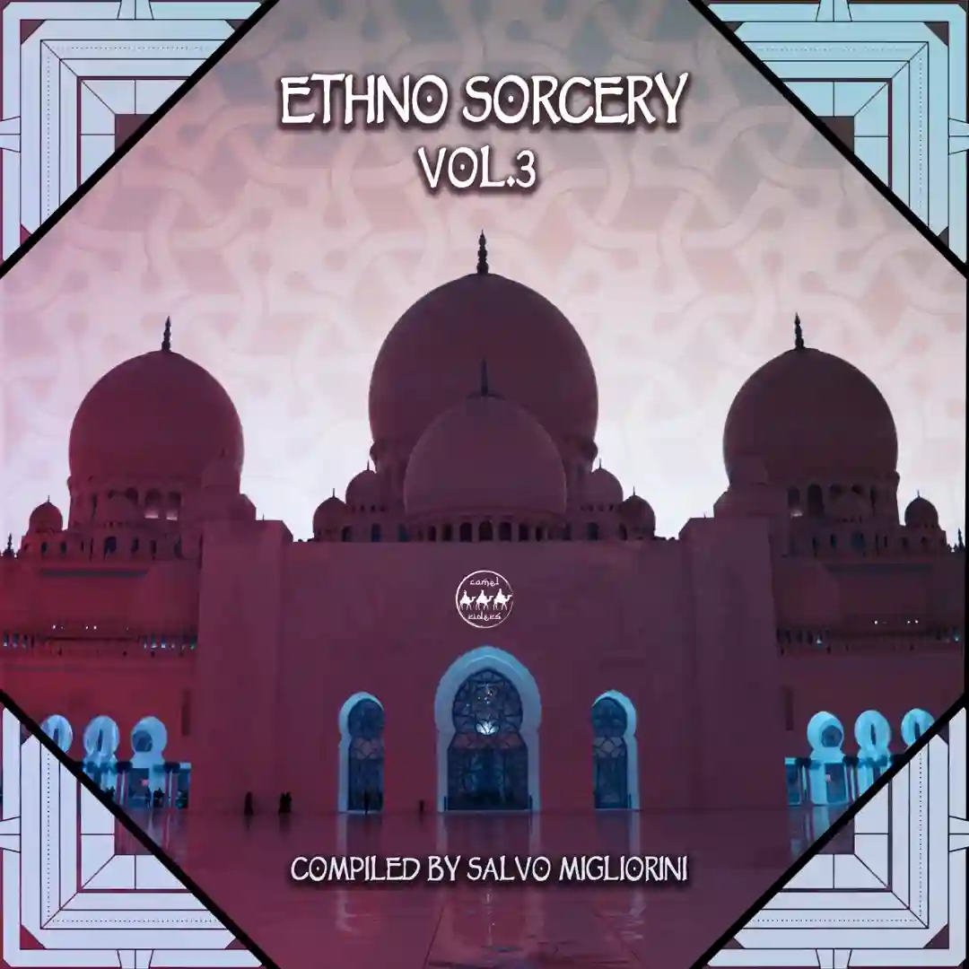 Vnochi cover
