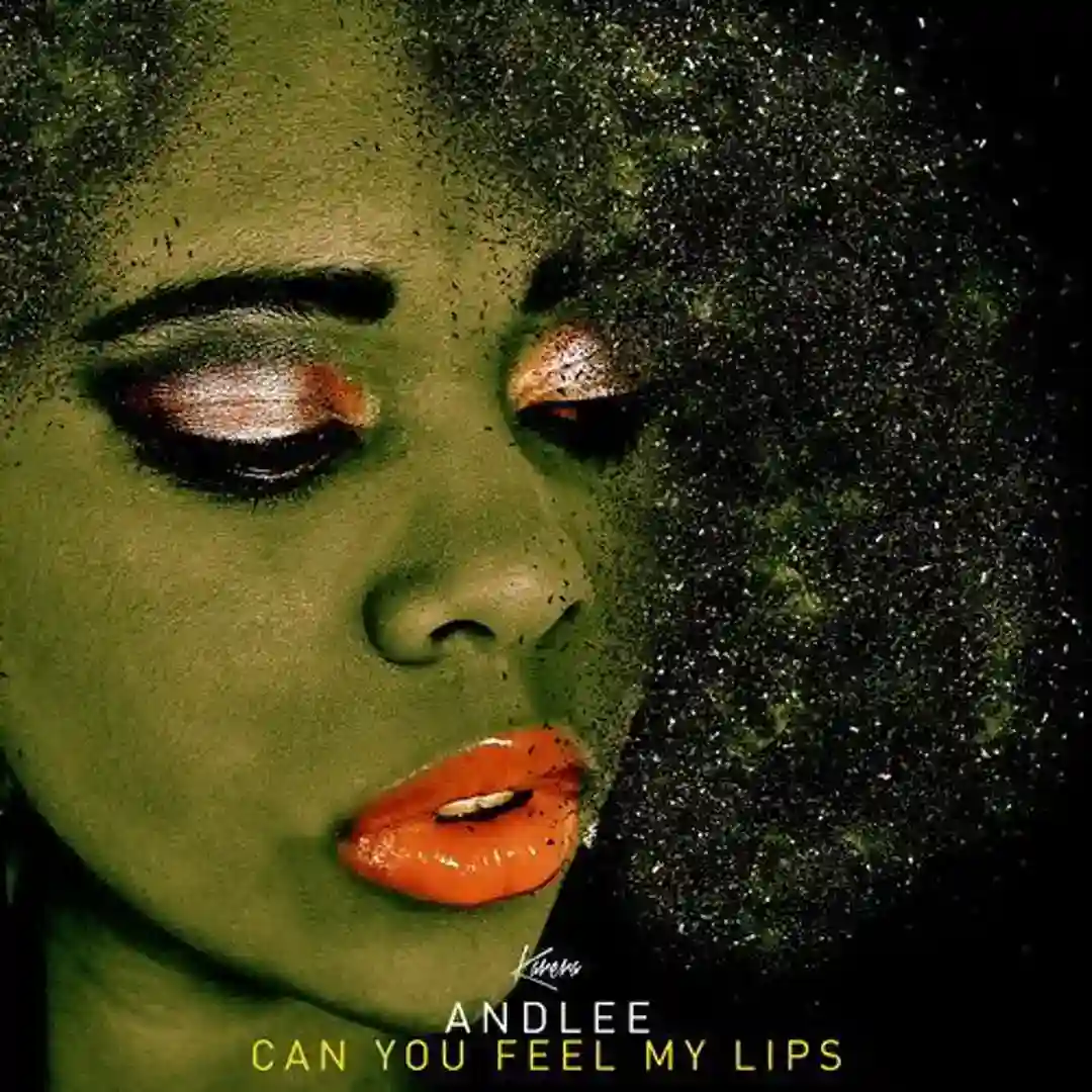Can You Feel My Lips cover