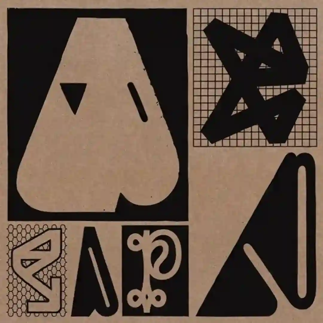 Acid Flange (Original Mix) cover
