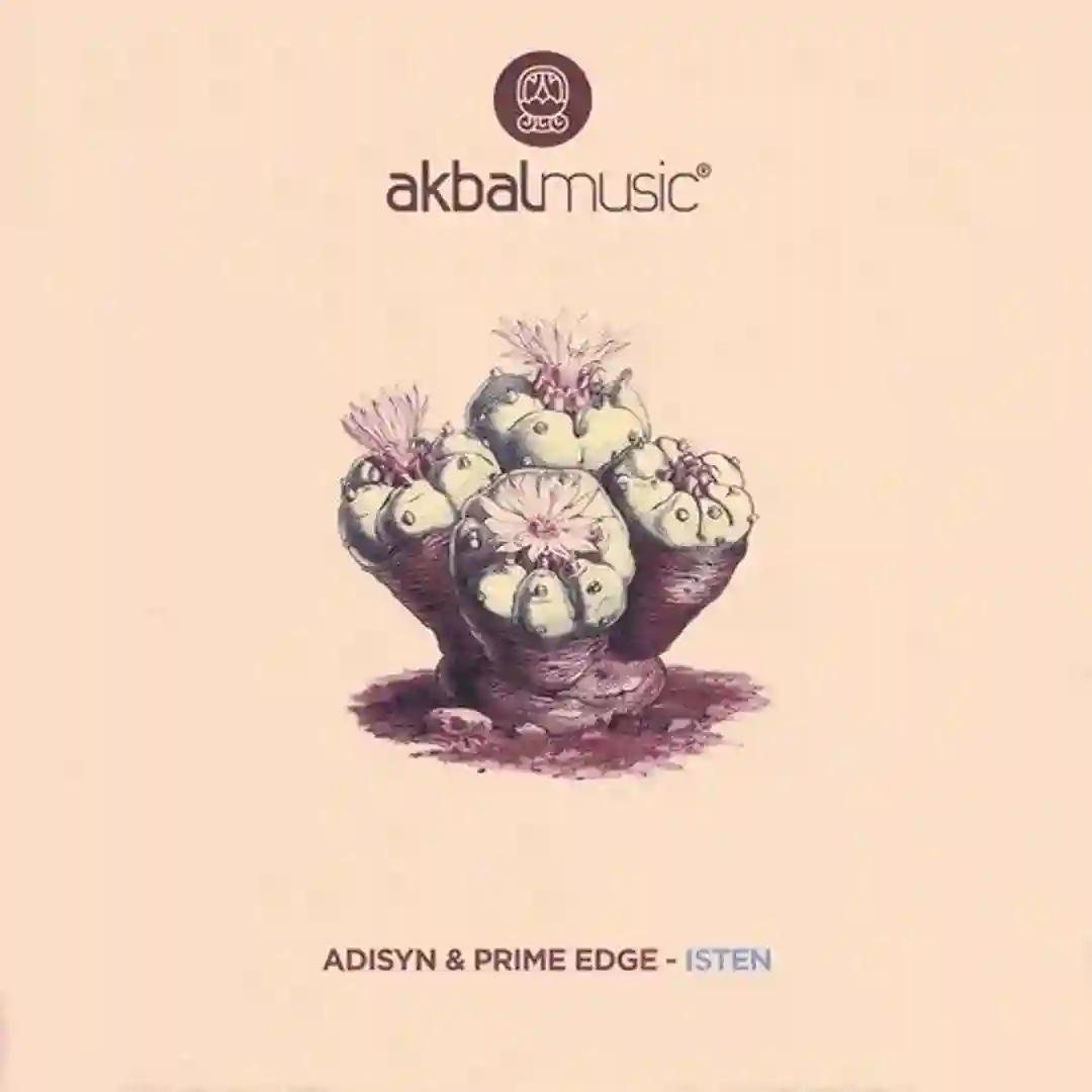 Salas (Original Mix) cover