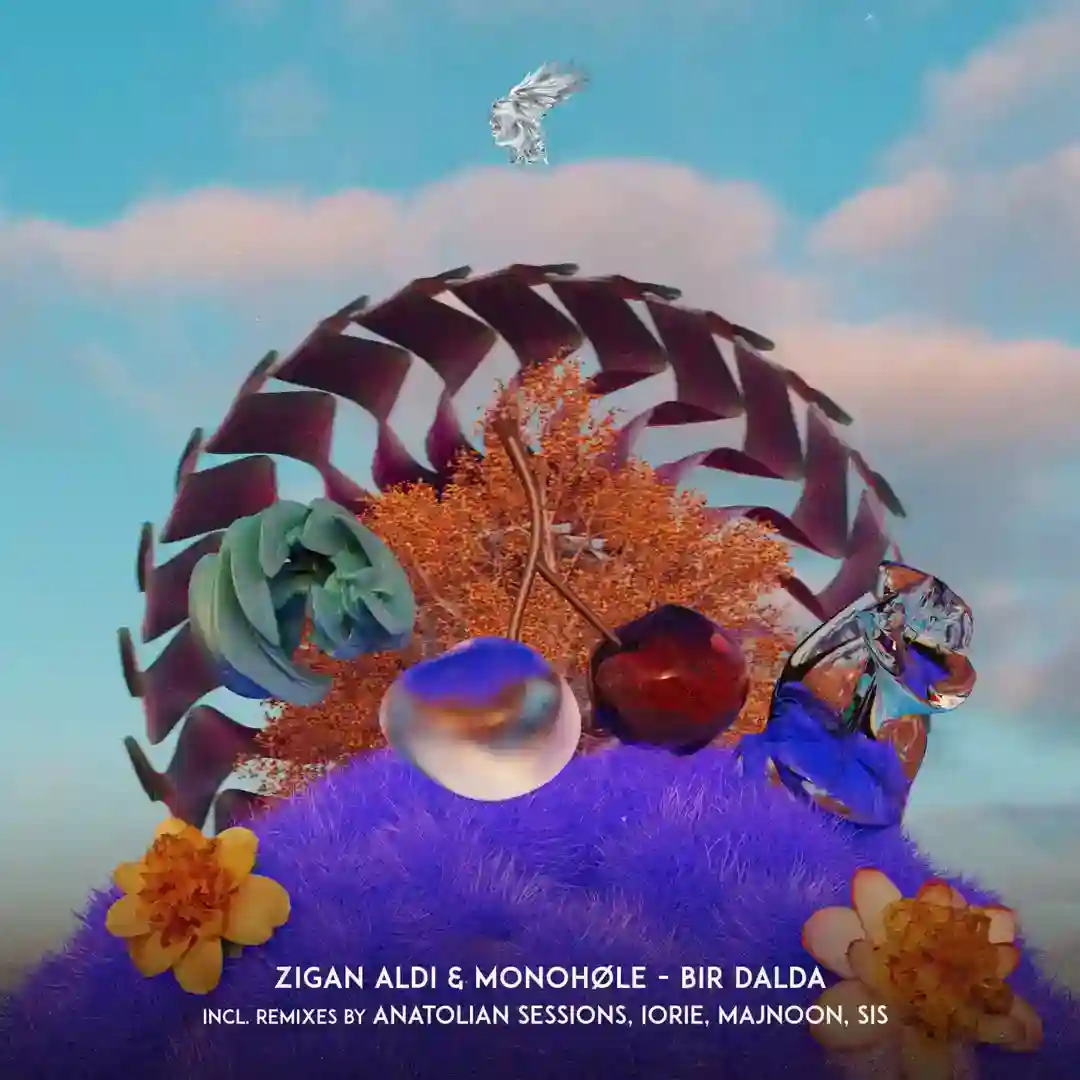 Bir Dalda (SIS Remix) cover