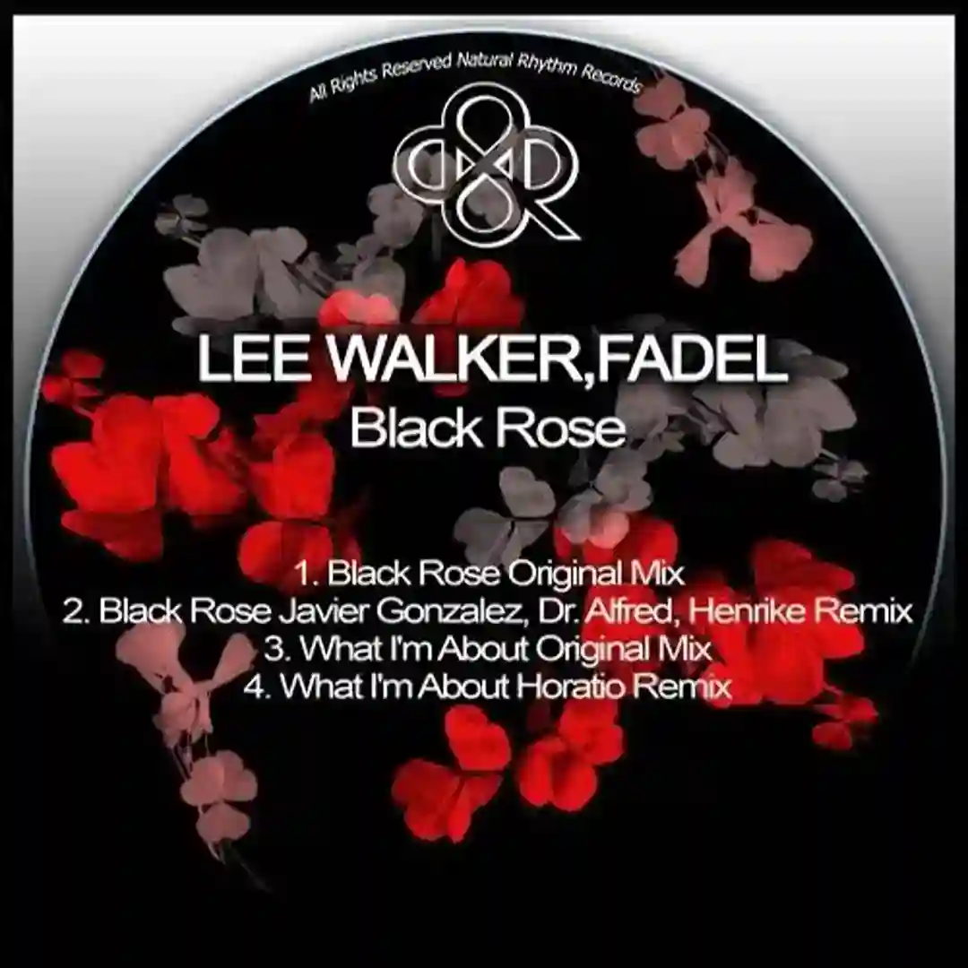Black Rose (Original Mix) cover
