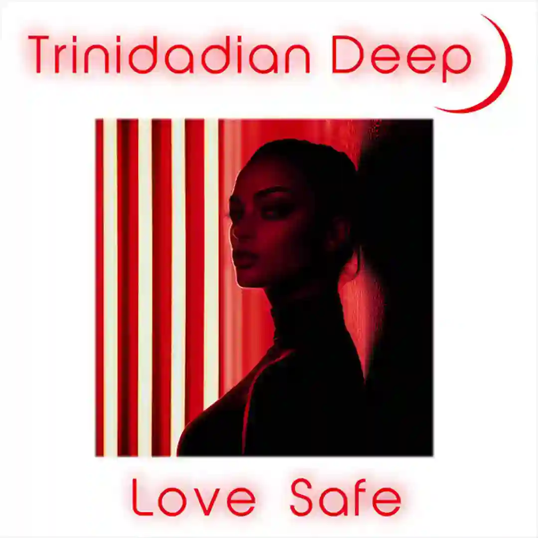 Love Safe cover