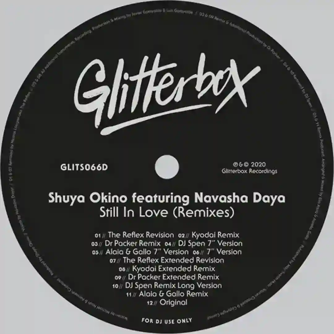 Still In Love (feat. Navasha Daya) (The Reflex Extended Revision) cover