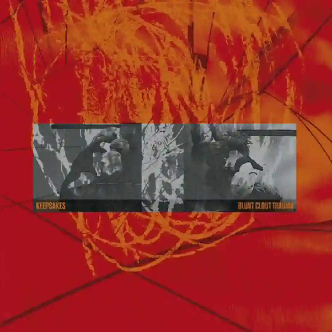 FUNK THE INFLUENCE cover
