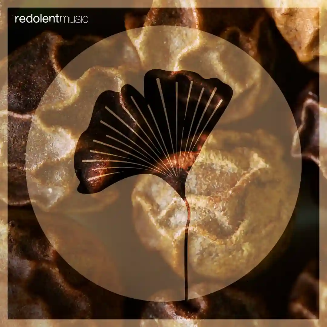 Olokun (Original Mix) cover