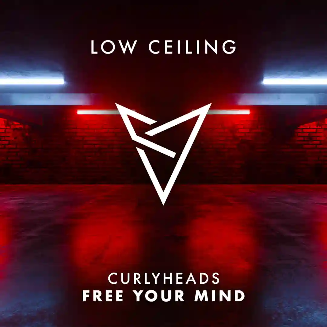 FREE YOUR MIND (Extended Mix) cover