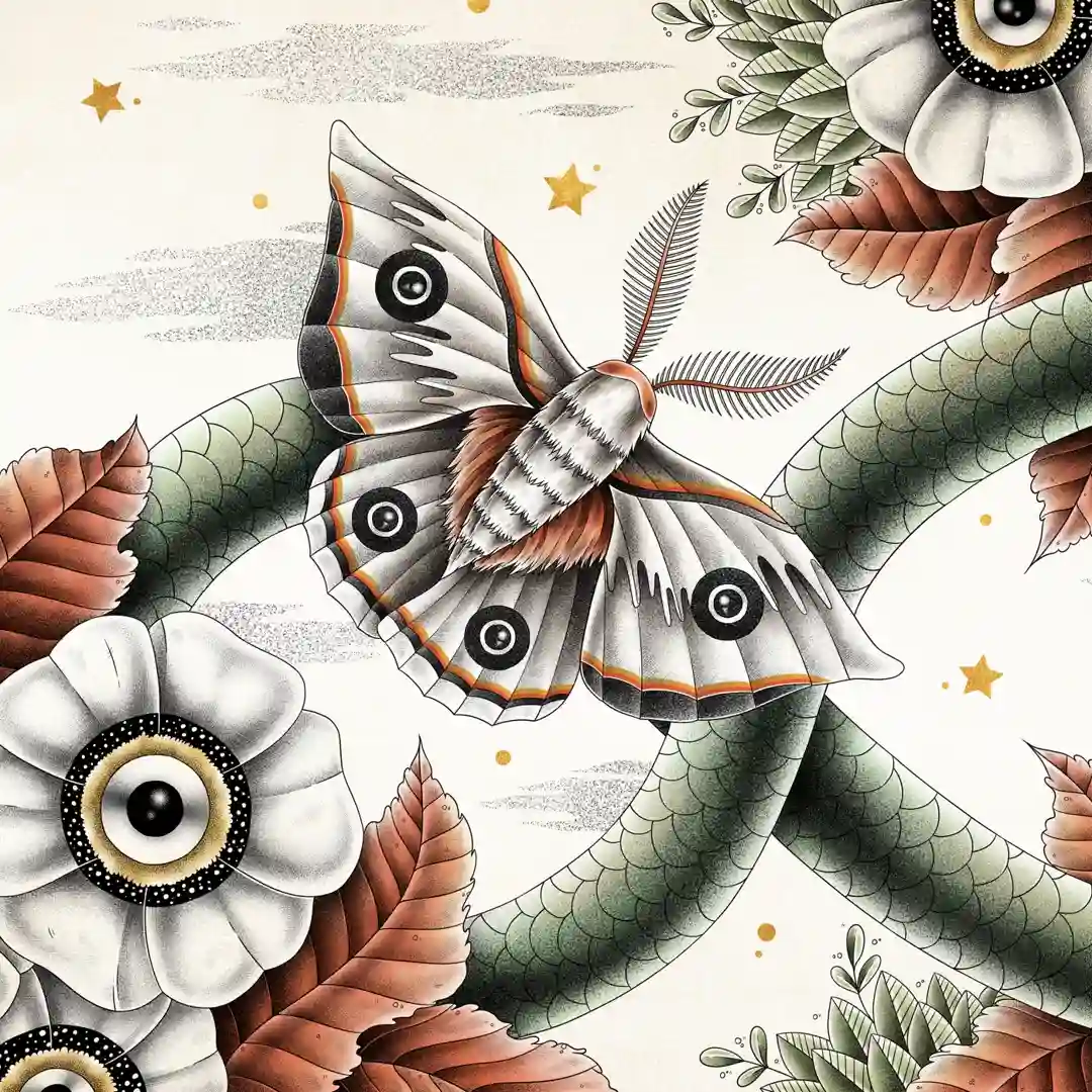Primula cover
