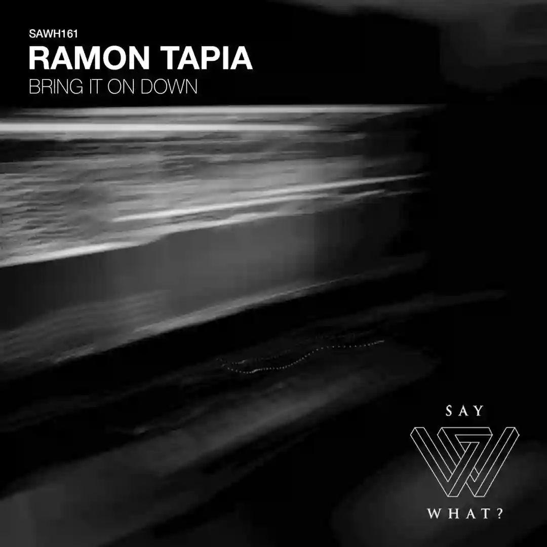 Bring It On Down (Original Mix) cover