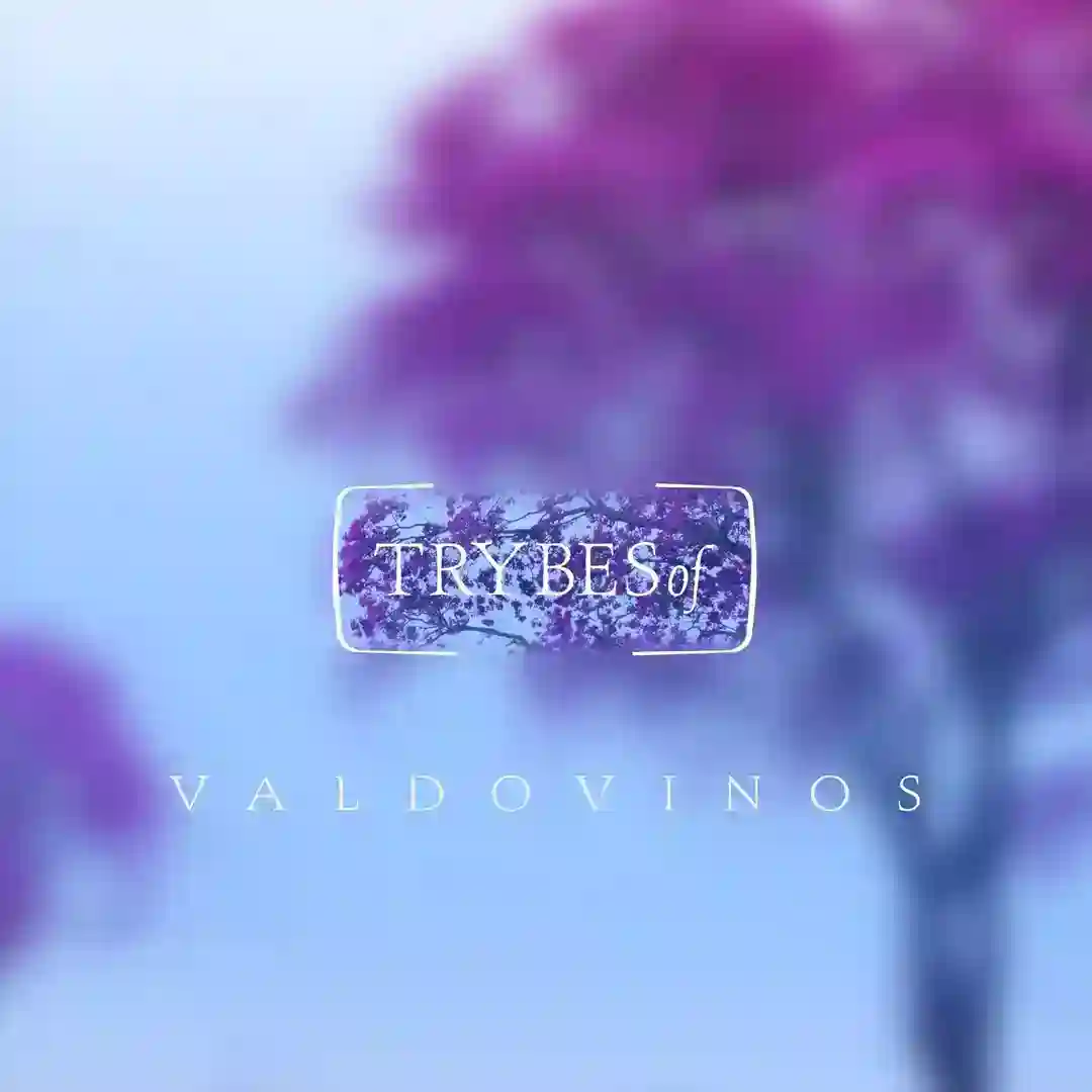 Asterisms EP cover