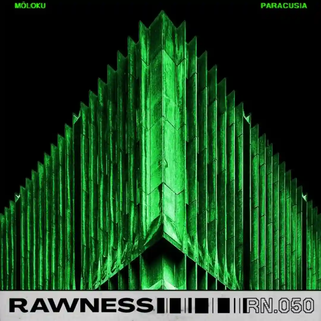 Paracusia (Original Mix) cover