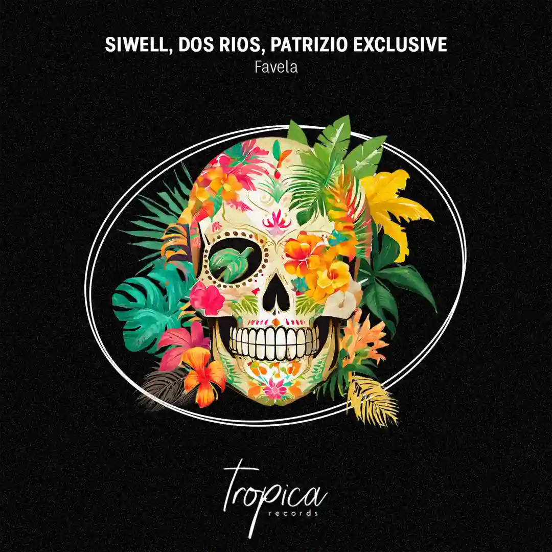 Favela cover