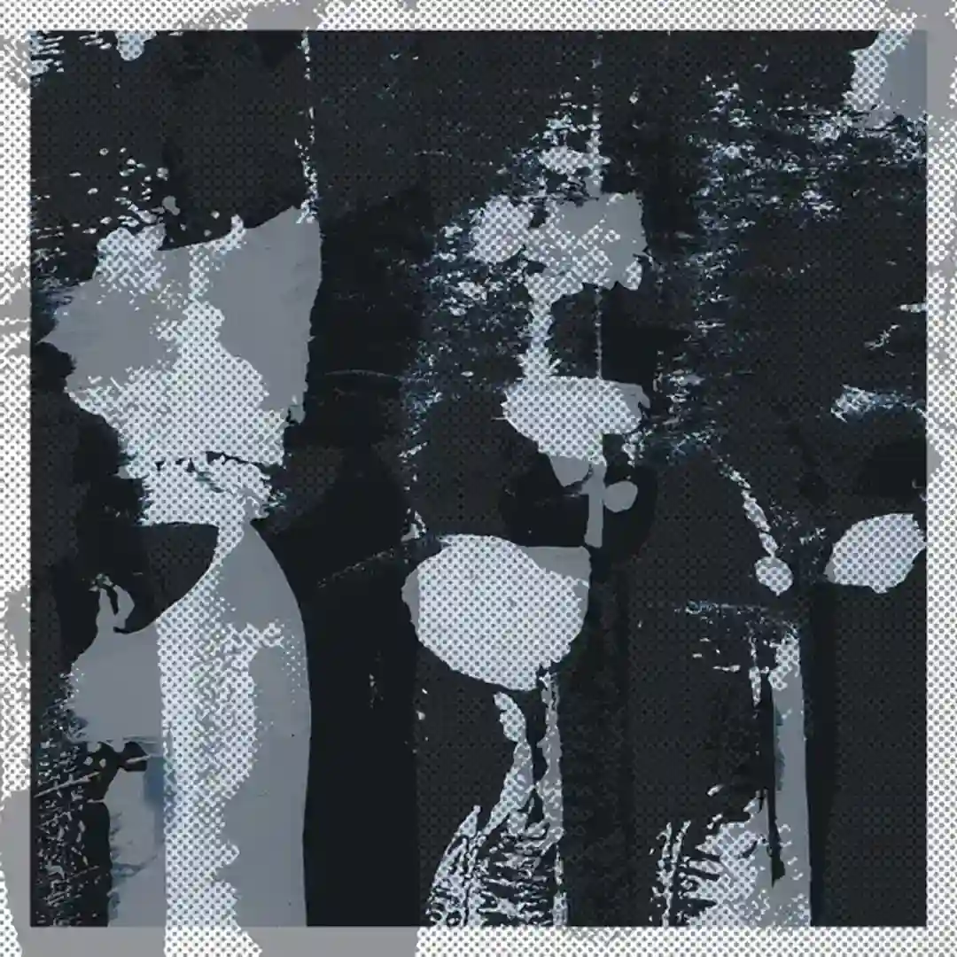 the surface of last scattering cover
