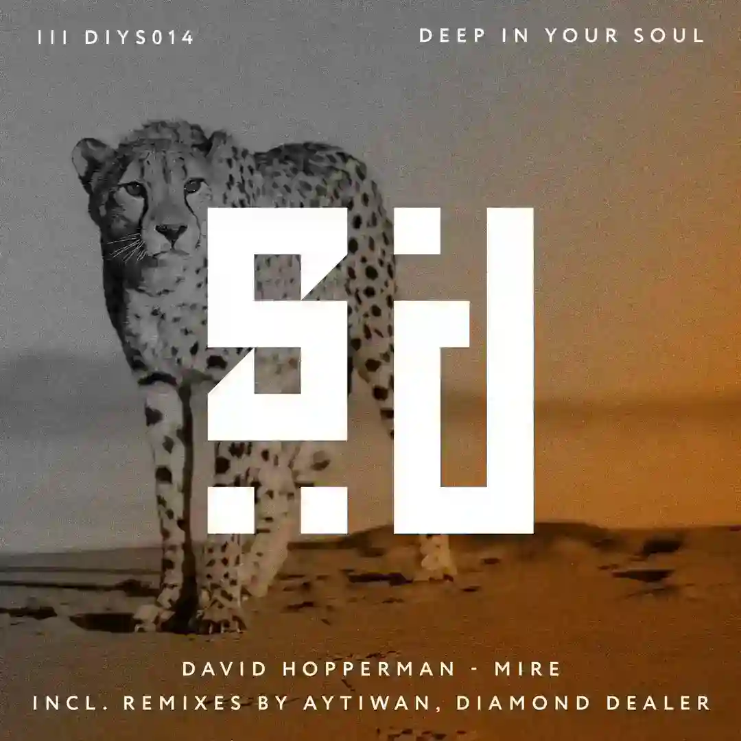 Mire (Diamond Dealer Remix) cover