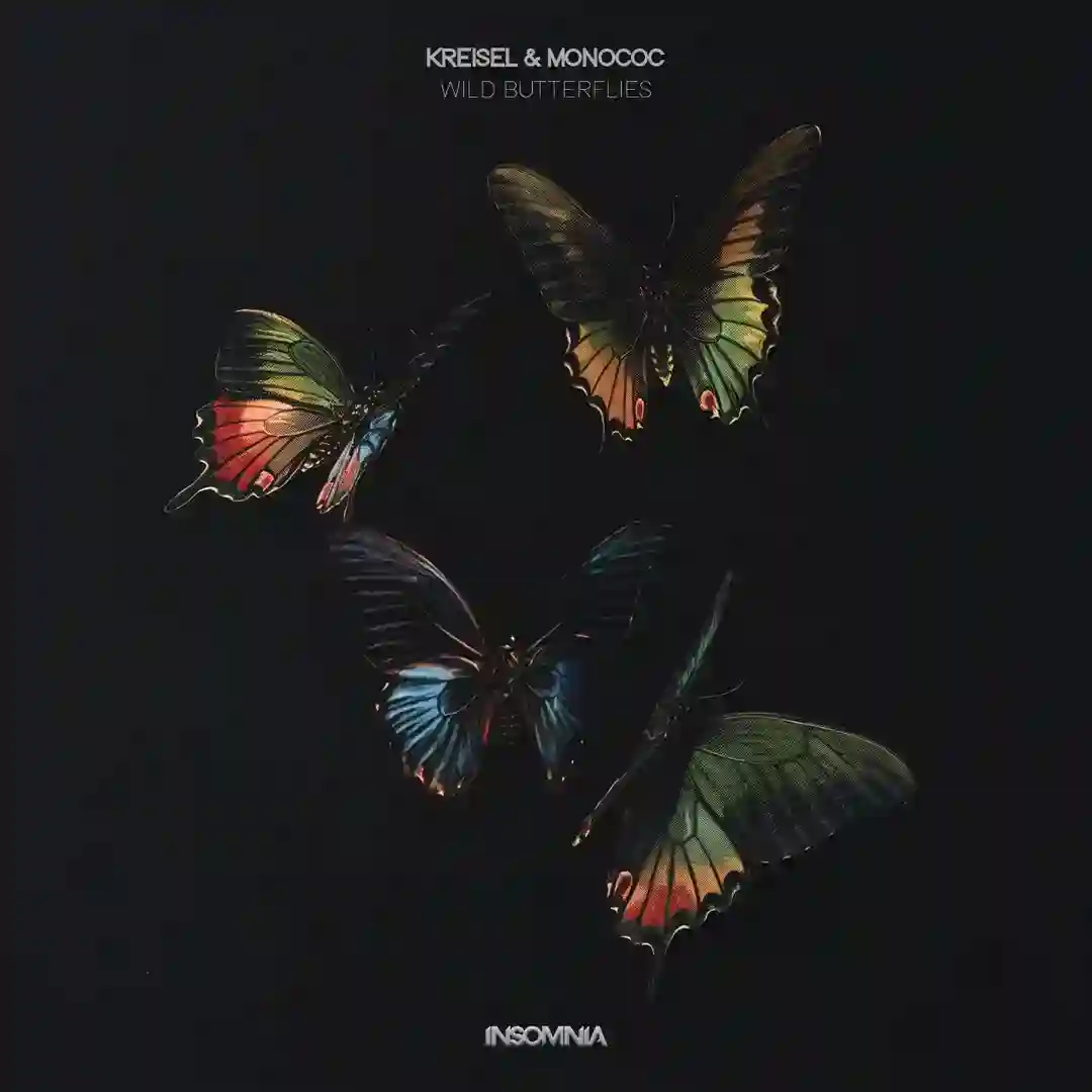 Pegasus (Droplex Remix) cover