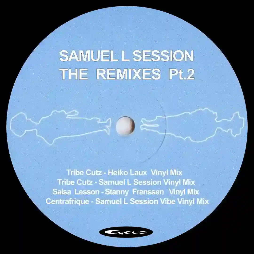 Salsa Lesson (Stanny Franssen Vinyl Mix) cover