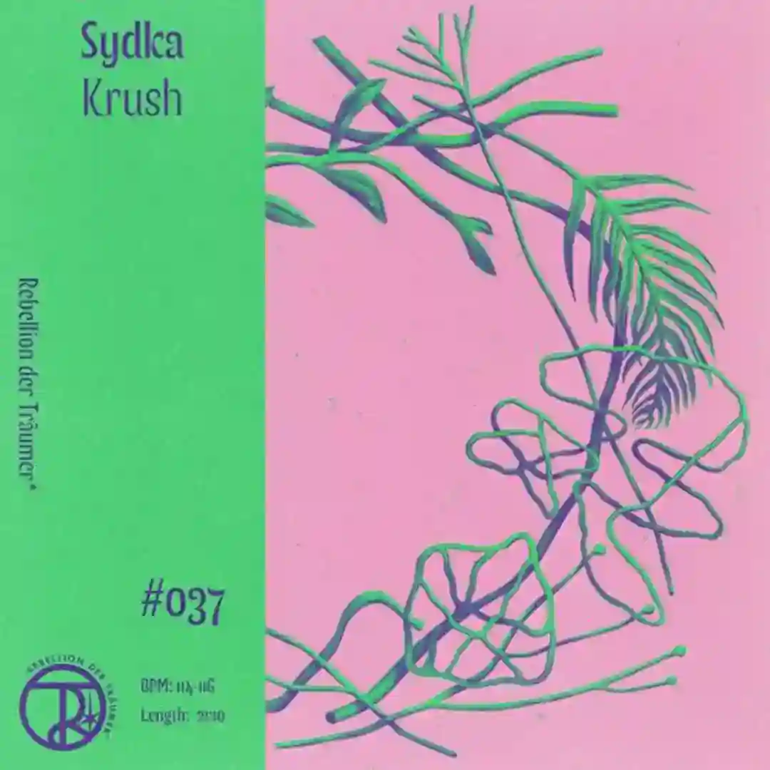 Passions (Original Mix) cover