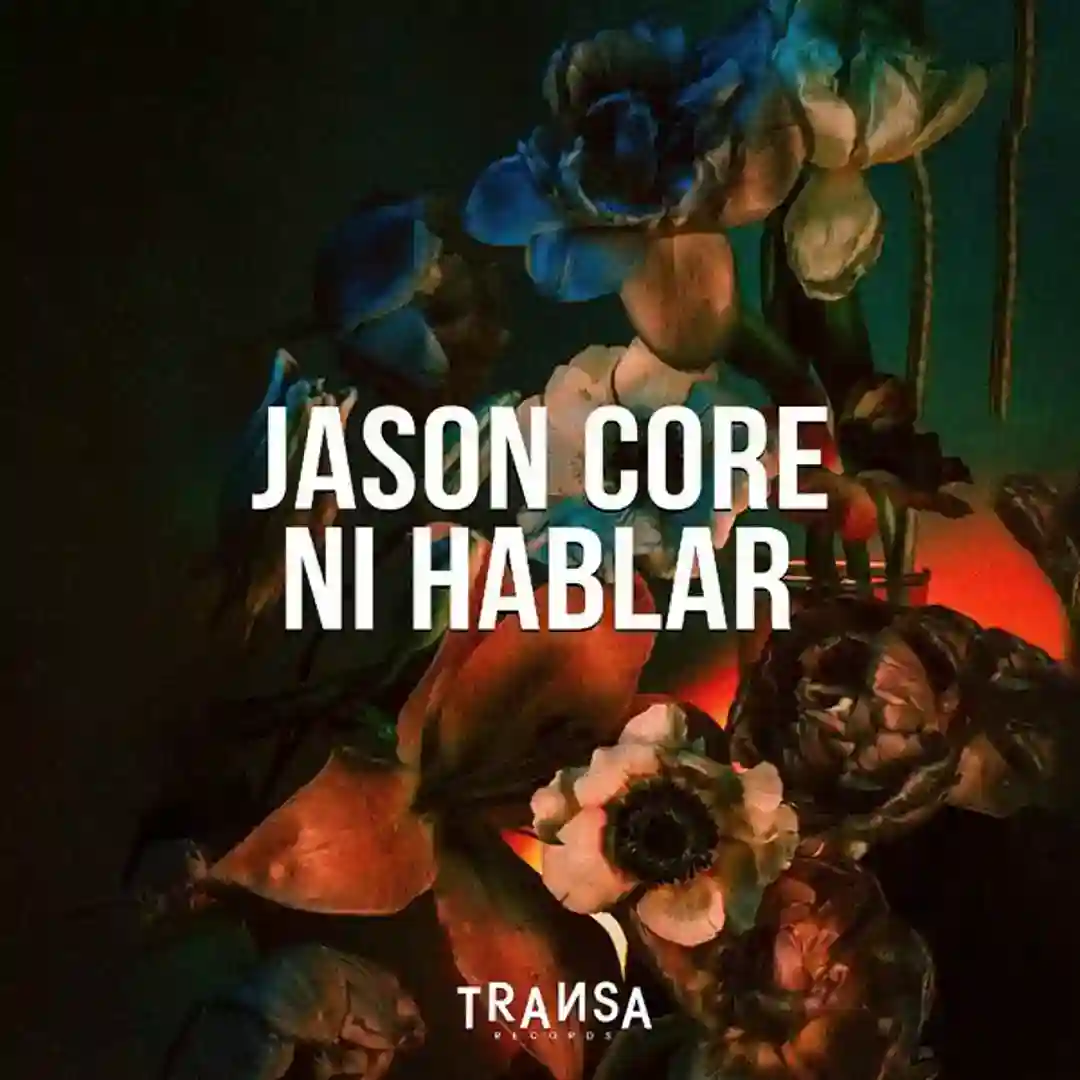 Ni Hablar (Original Mix) cover