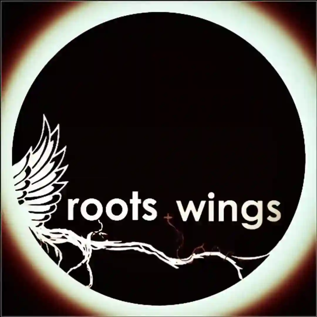 Mood Soul (Nicolas Duvoisin Remix) cover