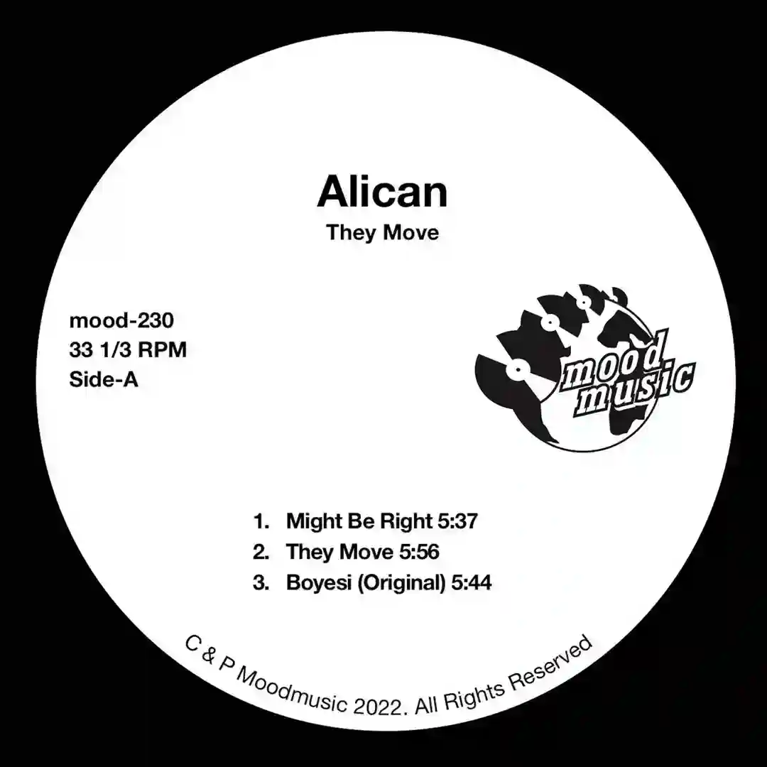 They Move cover