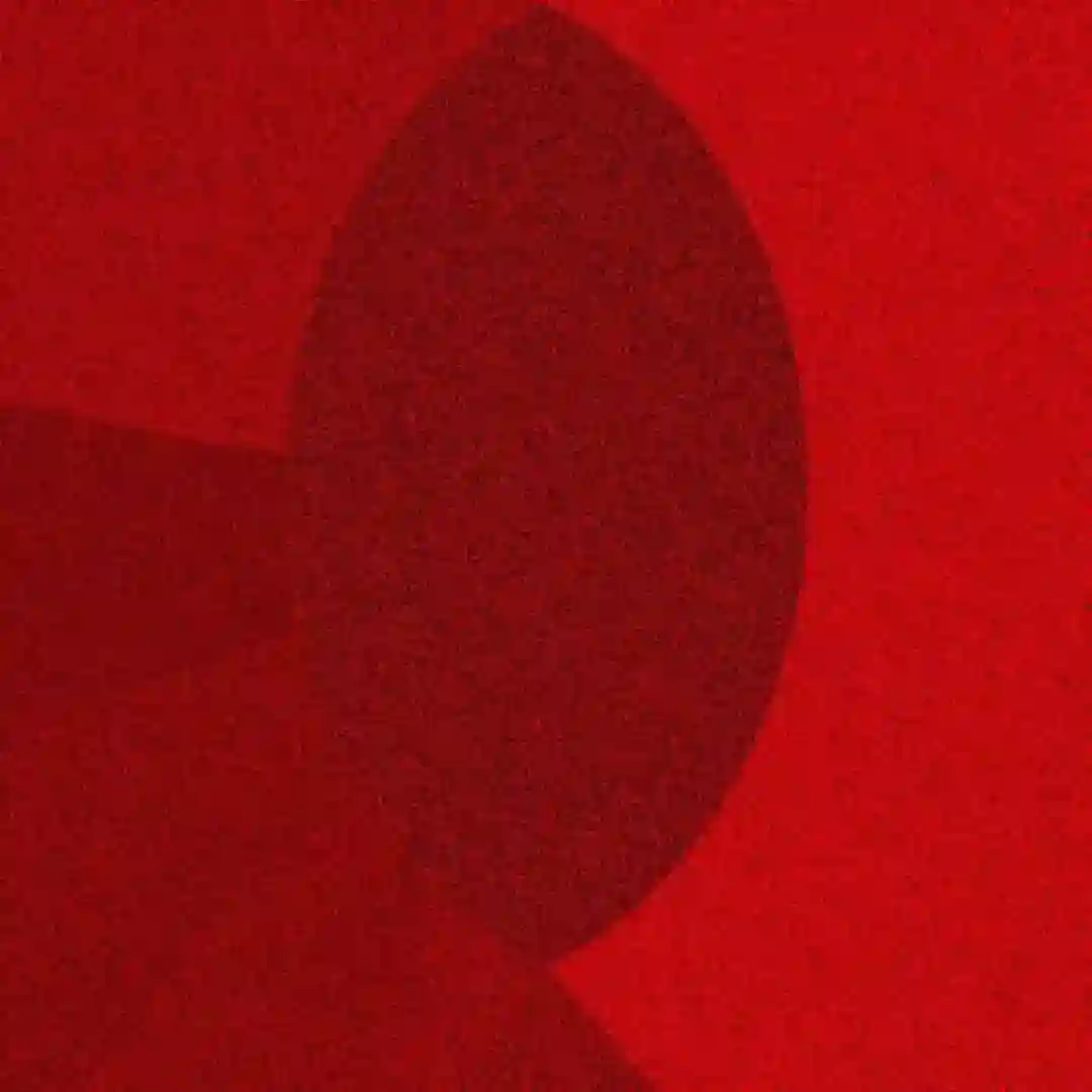 Saumuros cover