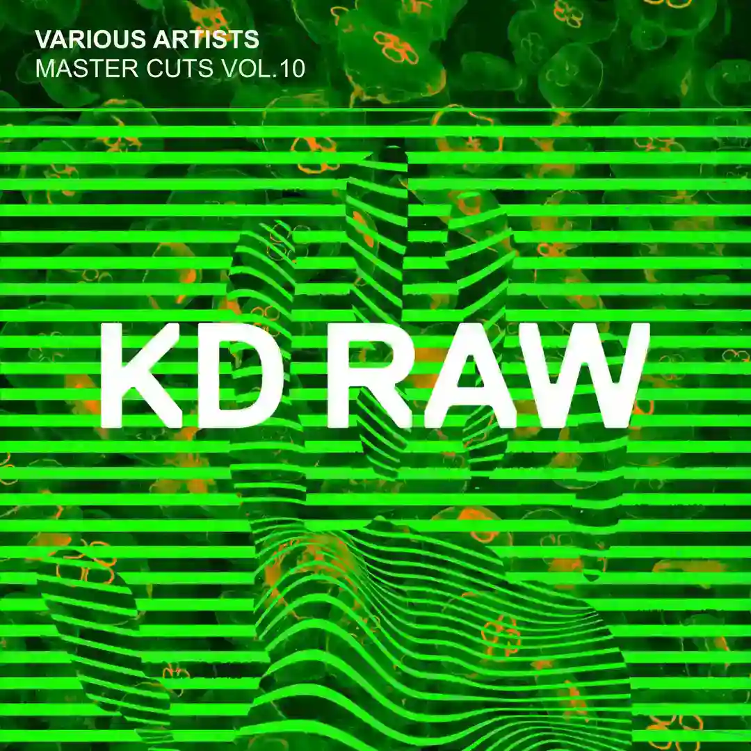 Fractal Stab (Original Mix) cover