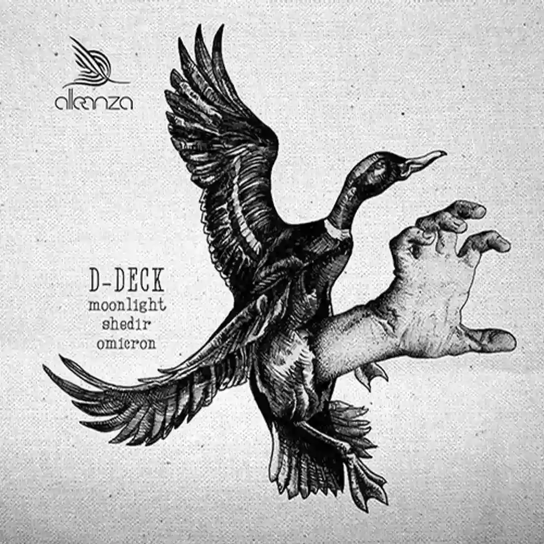 Shedir (Original Mix) cover