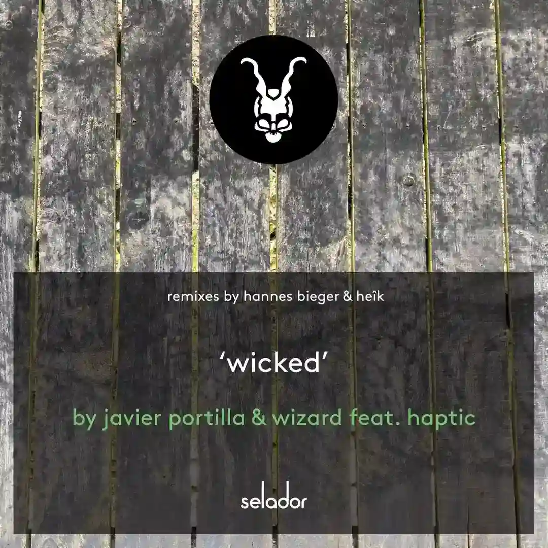 Wicked (Heik Remix) cover