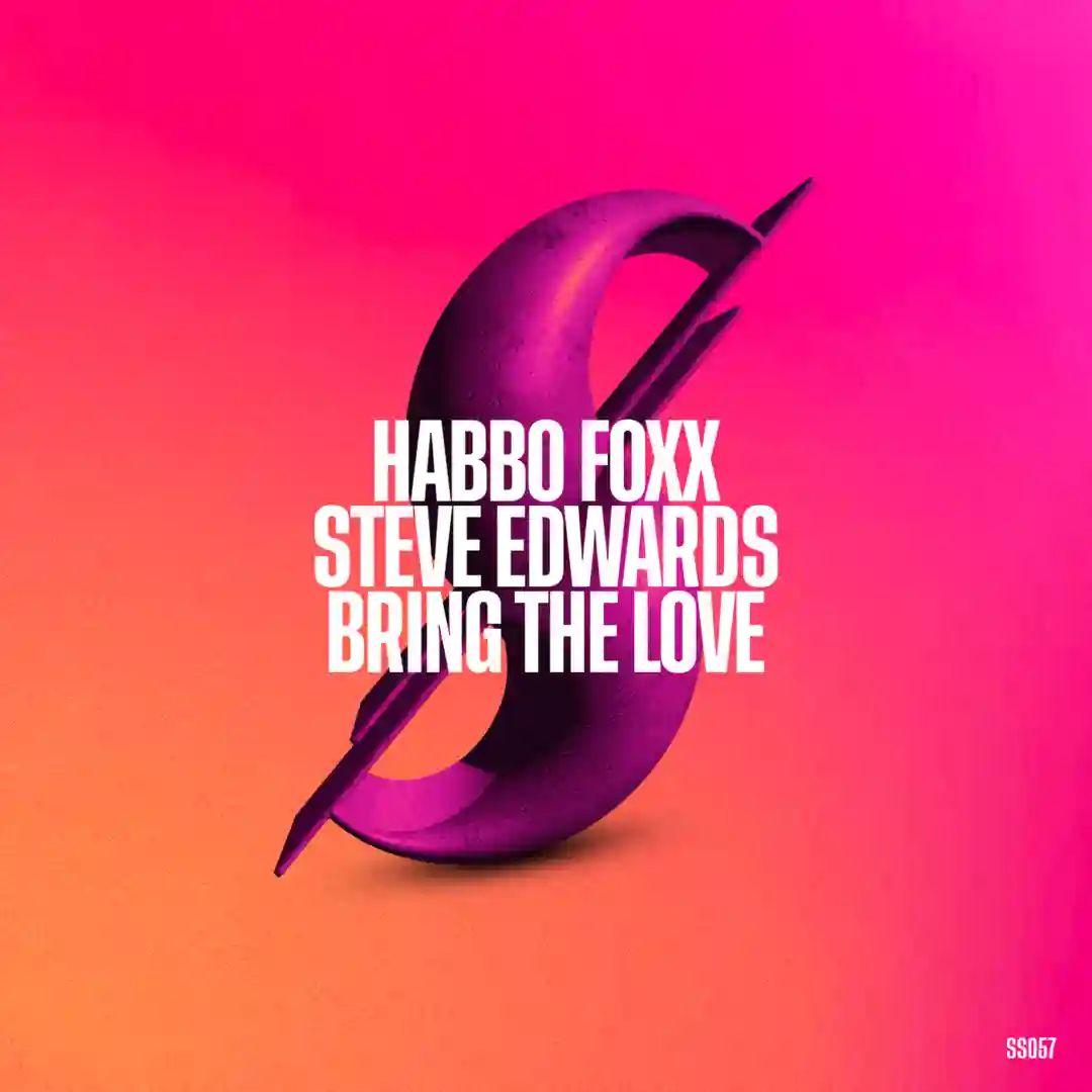 Bring The Love (Original Mix) cover