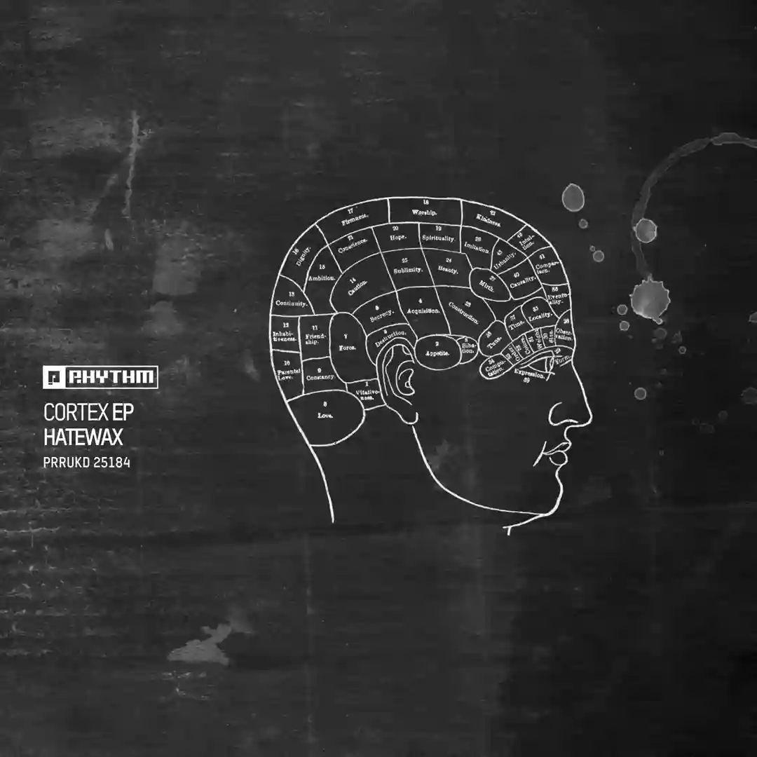 Cortex EP cover