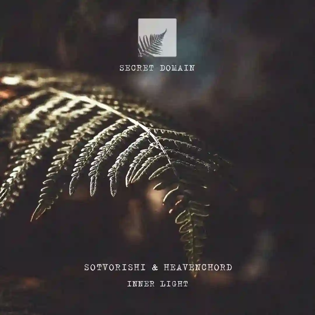 Distant Star cover