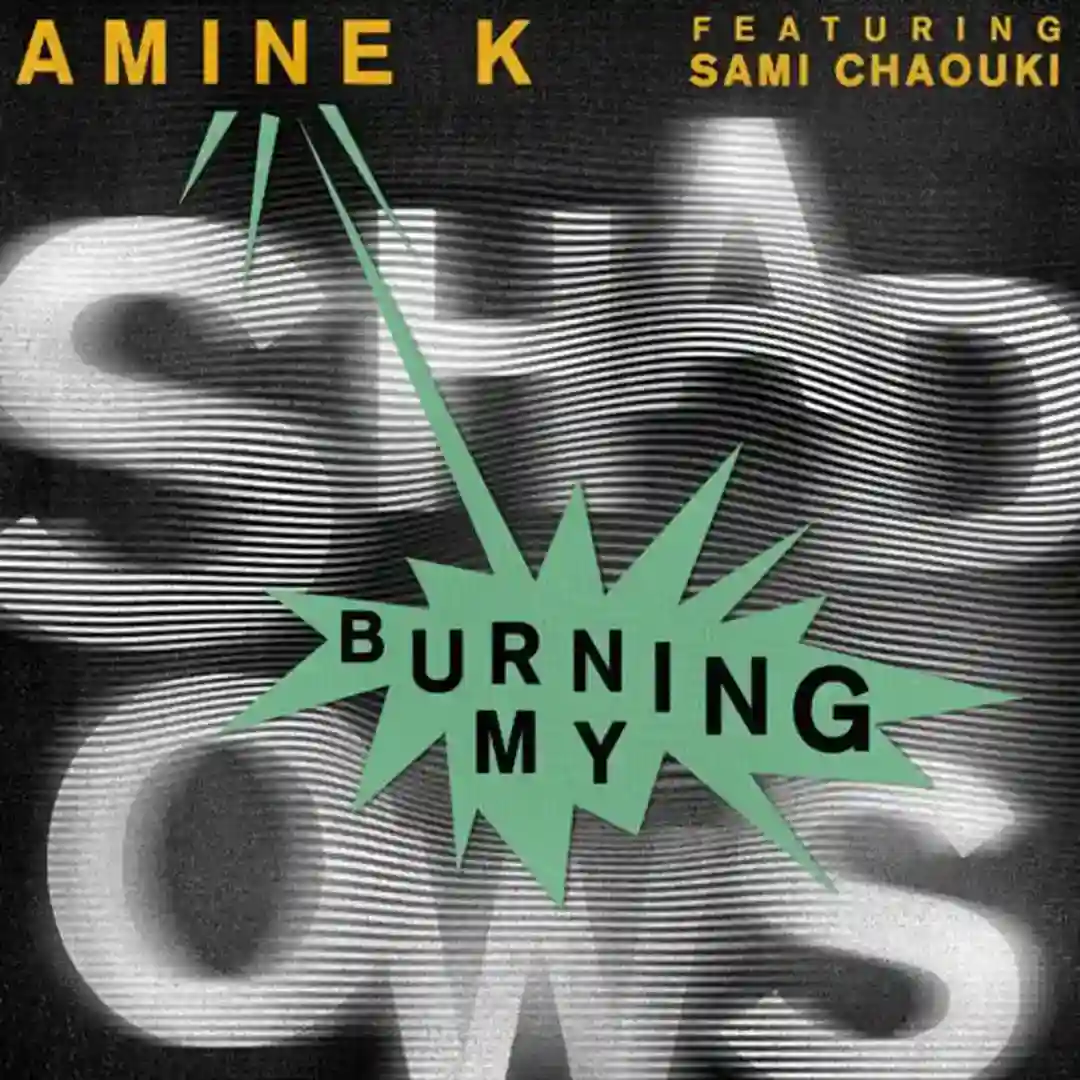 Burning My Shadows cover