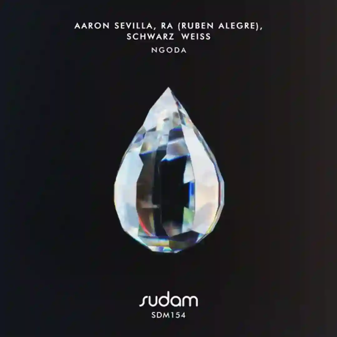 Ngoda (Original Mix) cover