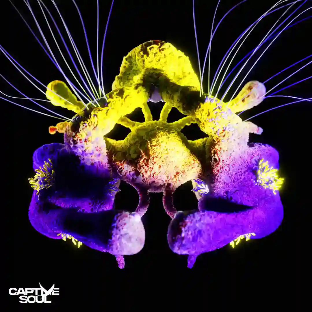 Fragments of Light (Extended Mix) cover
