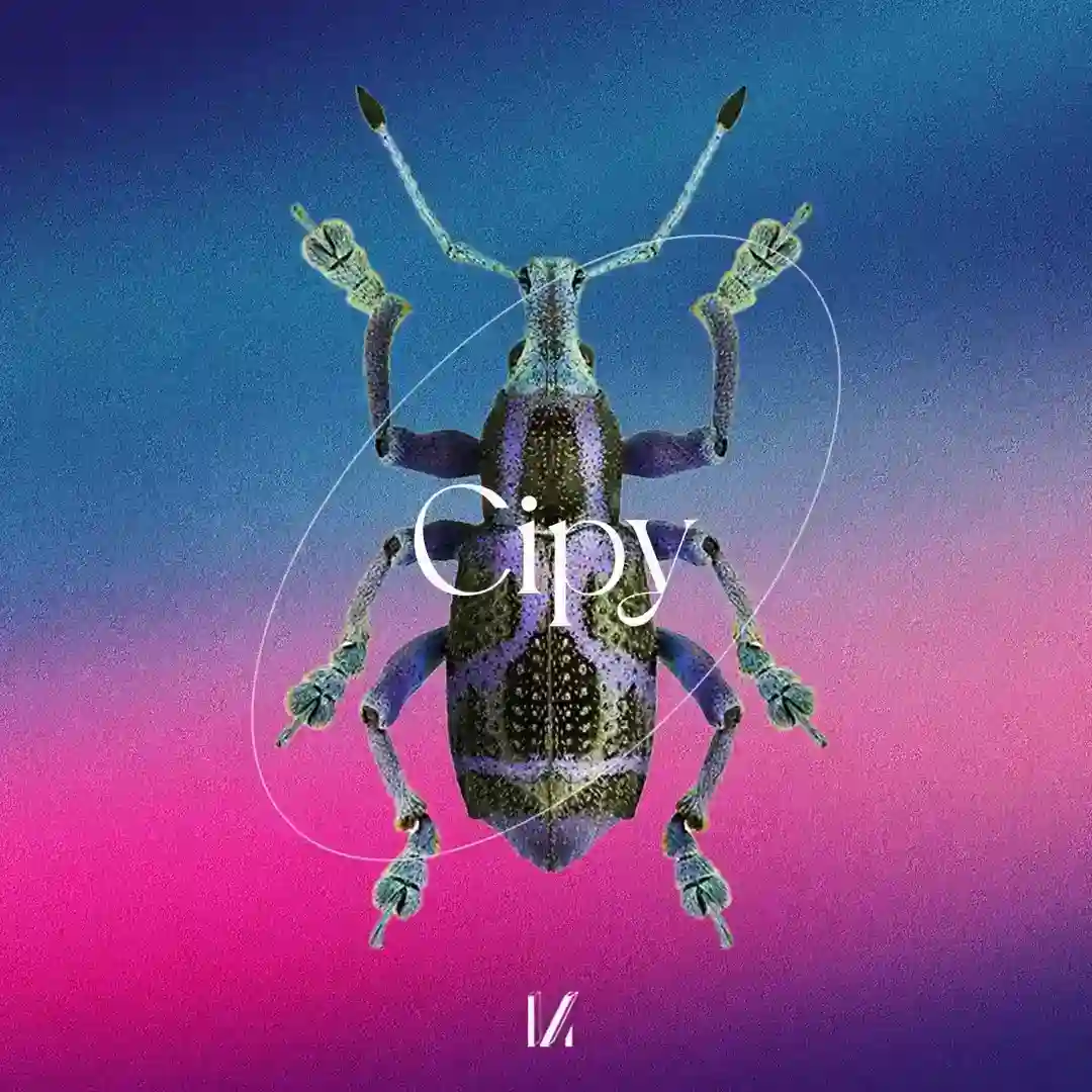 Briny Breezers (Original Mix) cover
