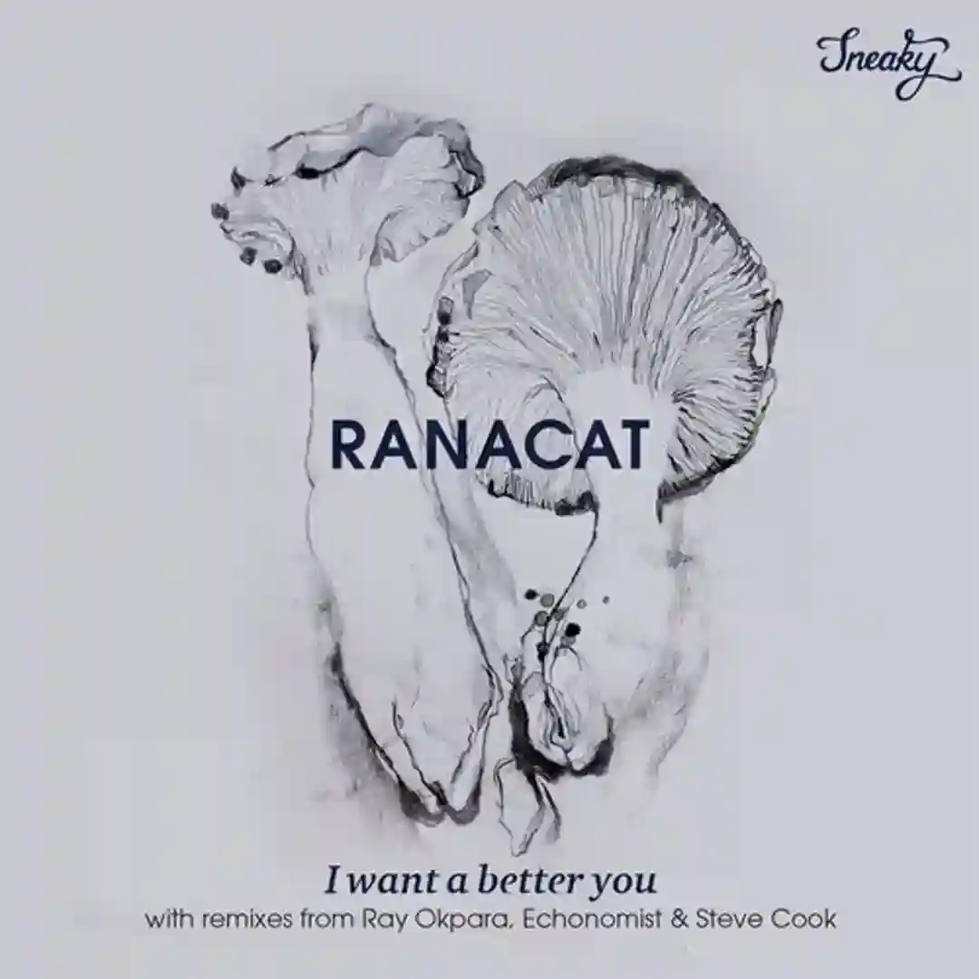I Want A Better You (Steve Cook Remix) cover