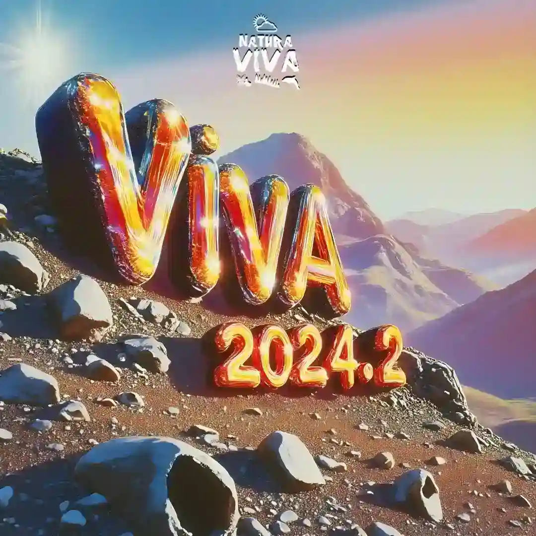 Viva 2024.2 cover