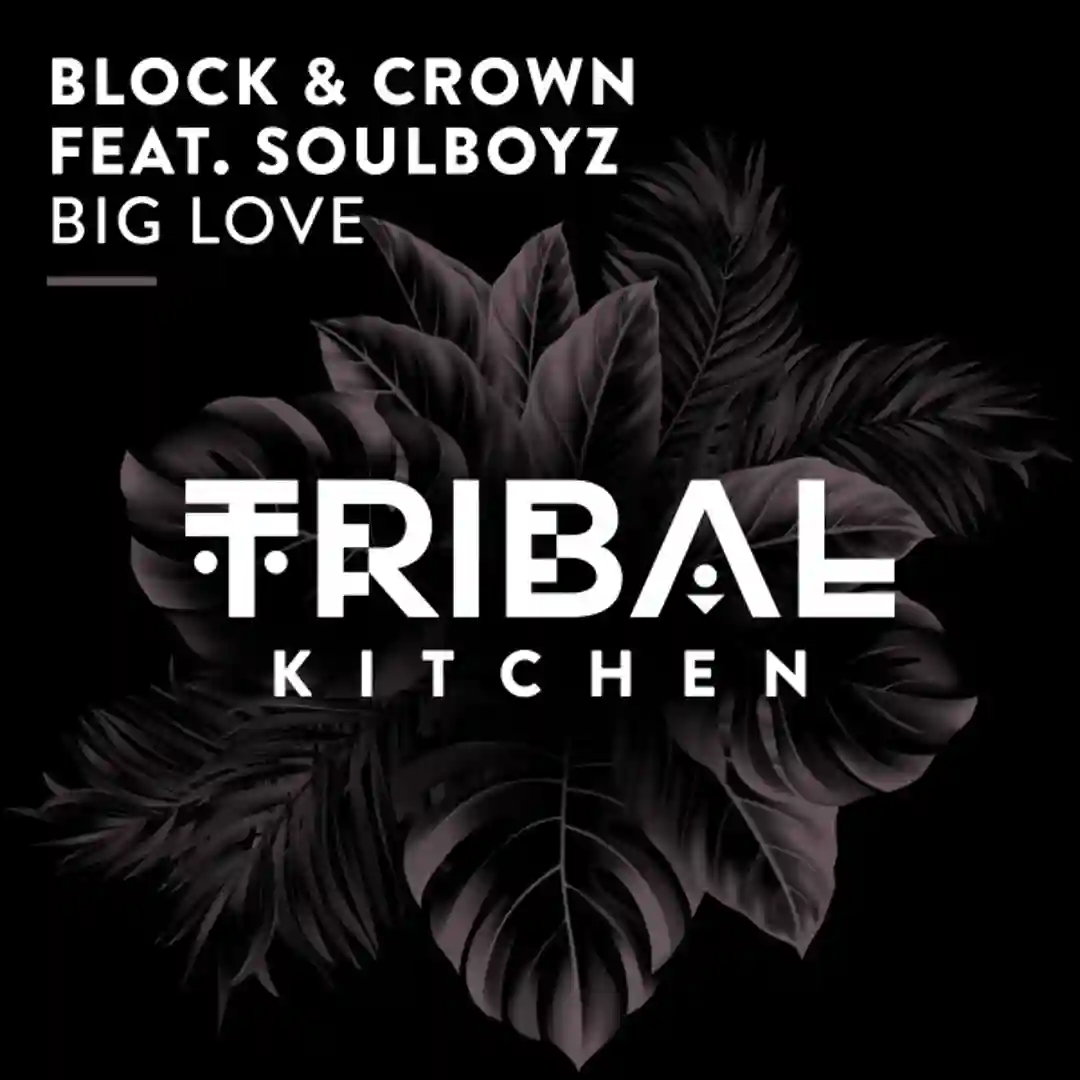 Big Love cover