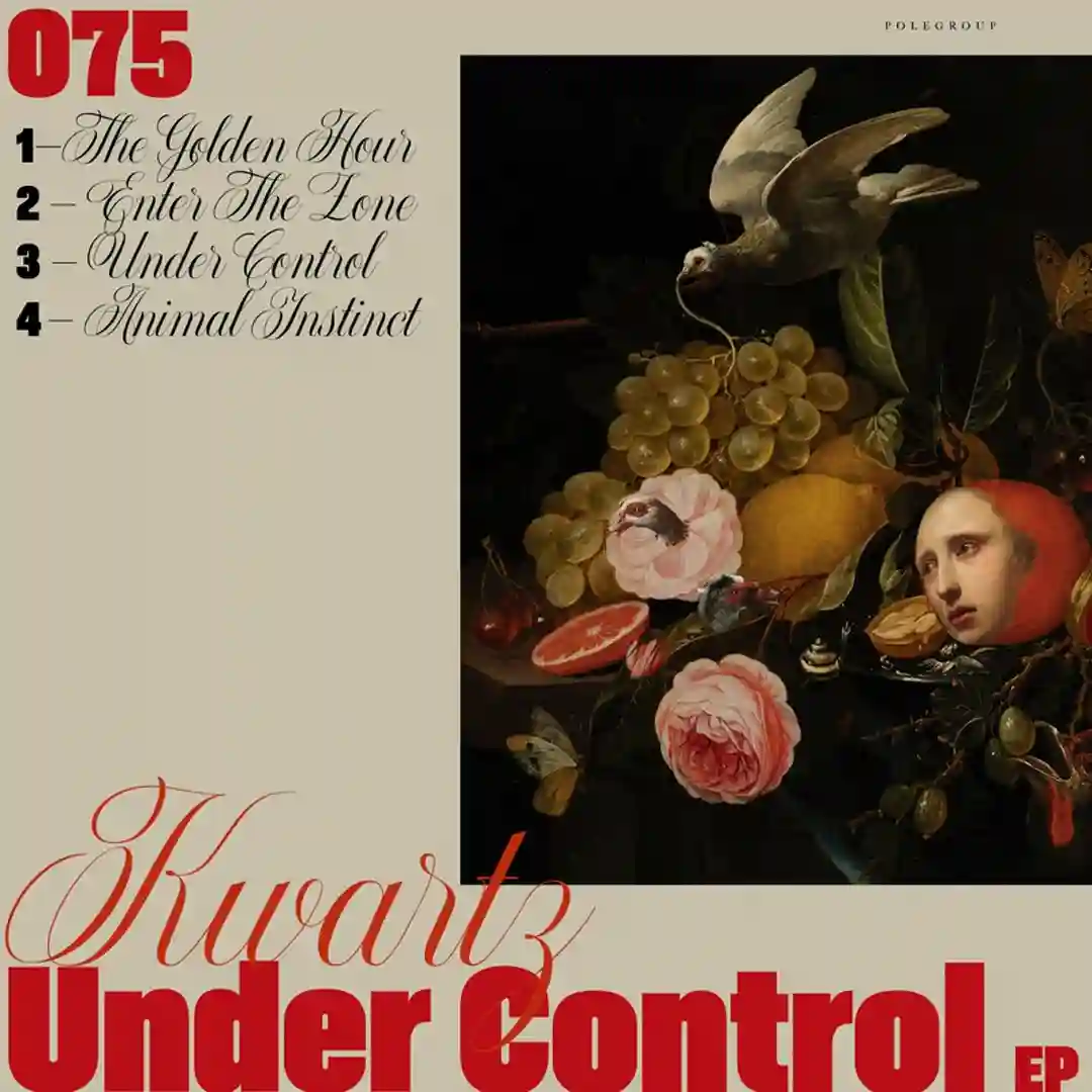 Under Control (Original Mix) cover