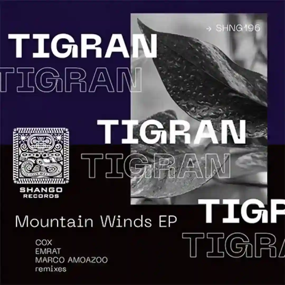 Mountain Trip (original mix) cover