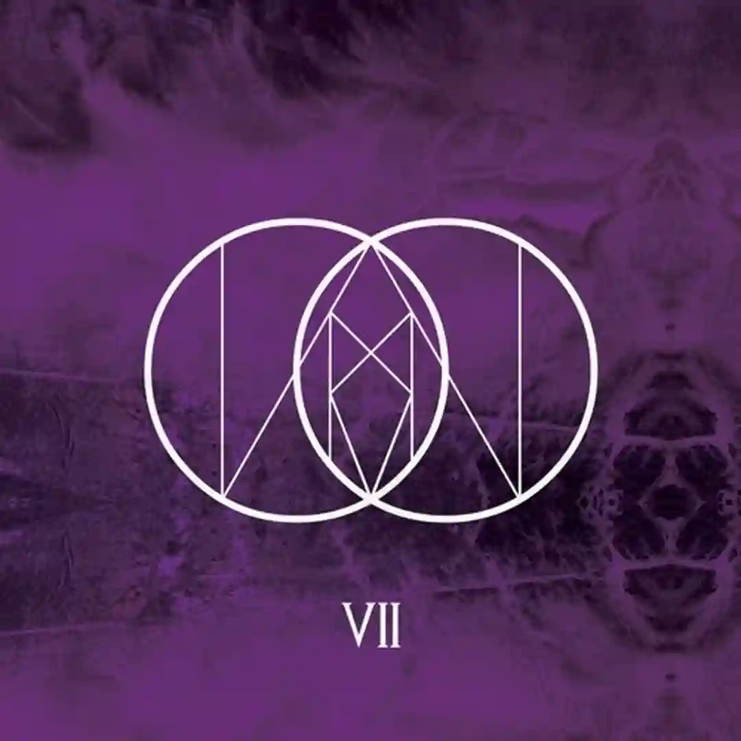 Raiz Remixes cover