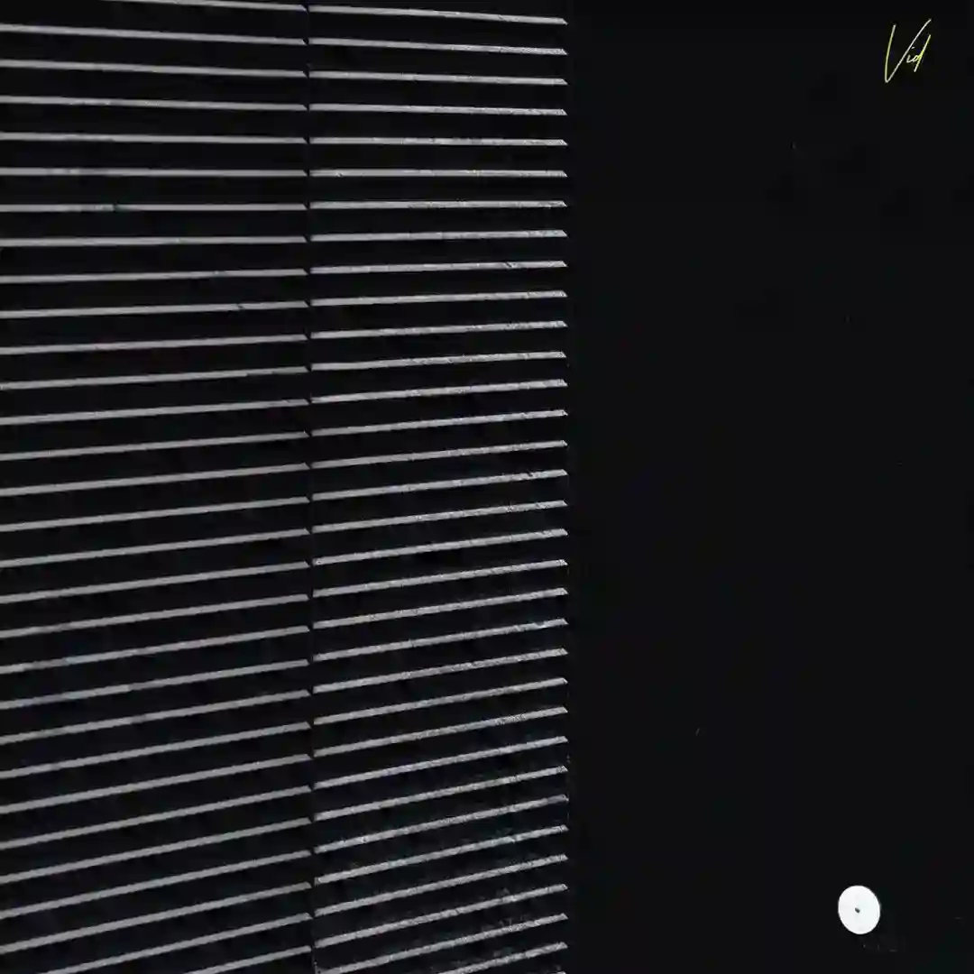 Anorlam cover