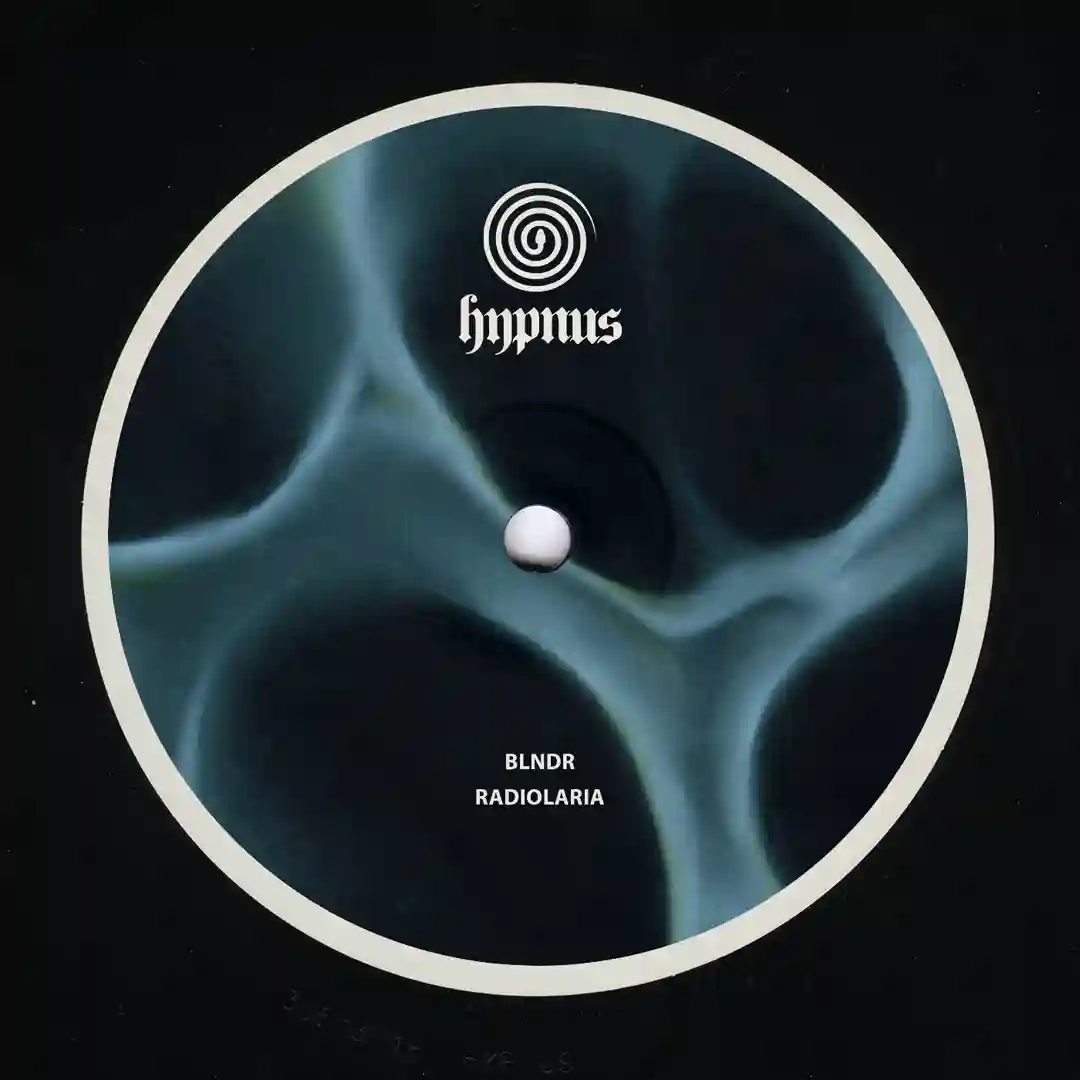 Dictyocha (Original Mix) cover