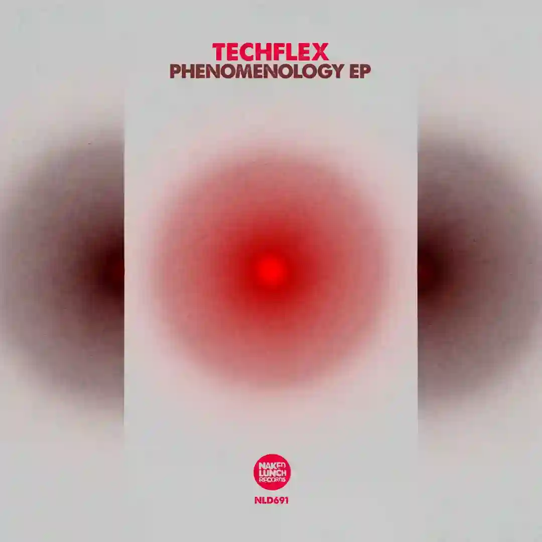 Phenomenology (Part 2) cover