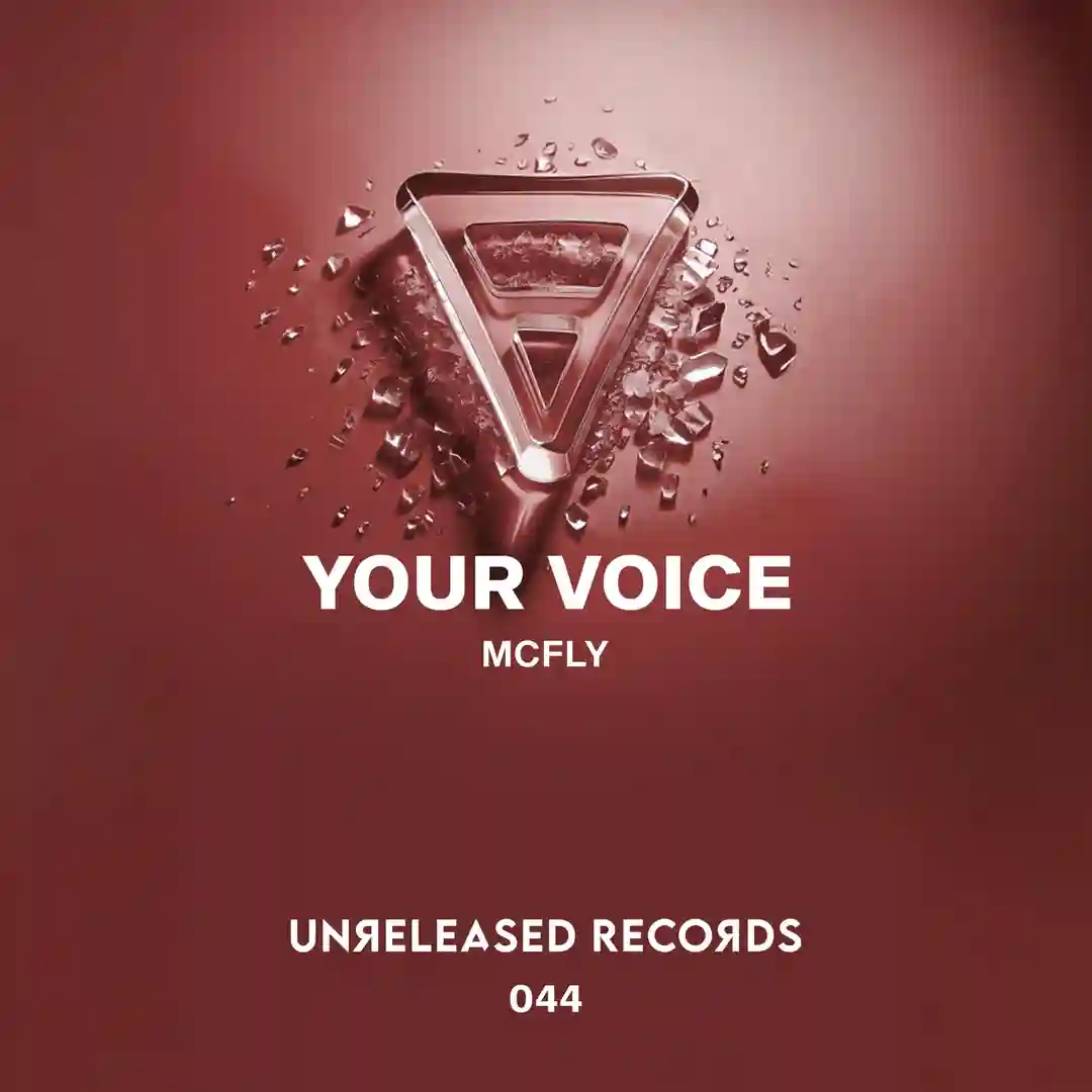 Your Voice (Extended Mix) cover